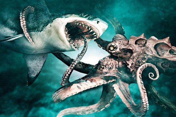 Kraken актуальные ссылки официальный сайт