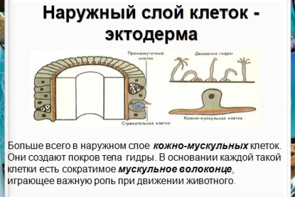 Kraken в россии